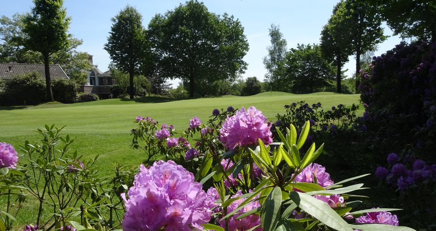 Dé golfbaan voor een compleet dagje uit