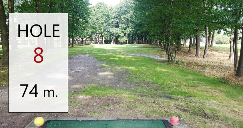 Pitch & Putt, een sportief dagje uit