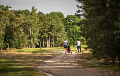 Late day lidmaatschap